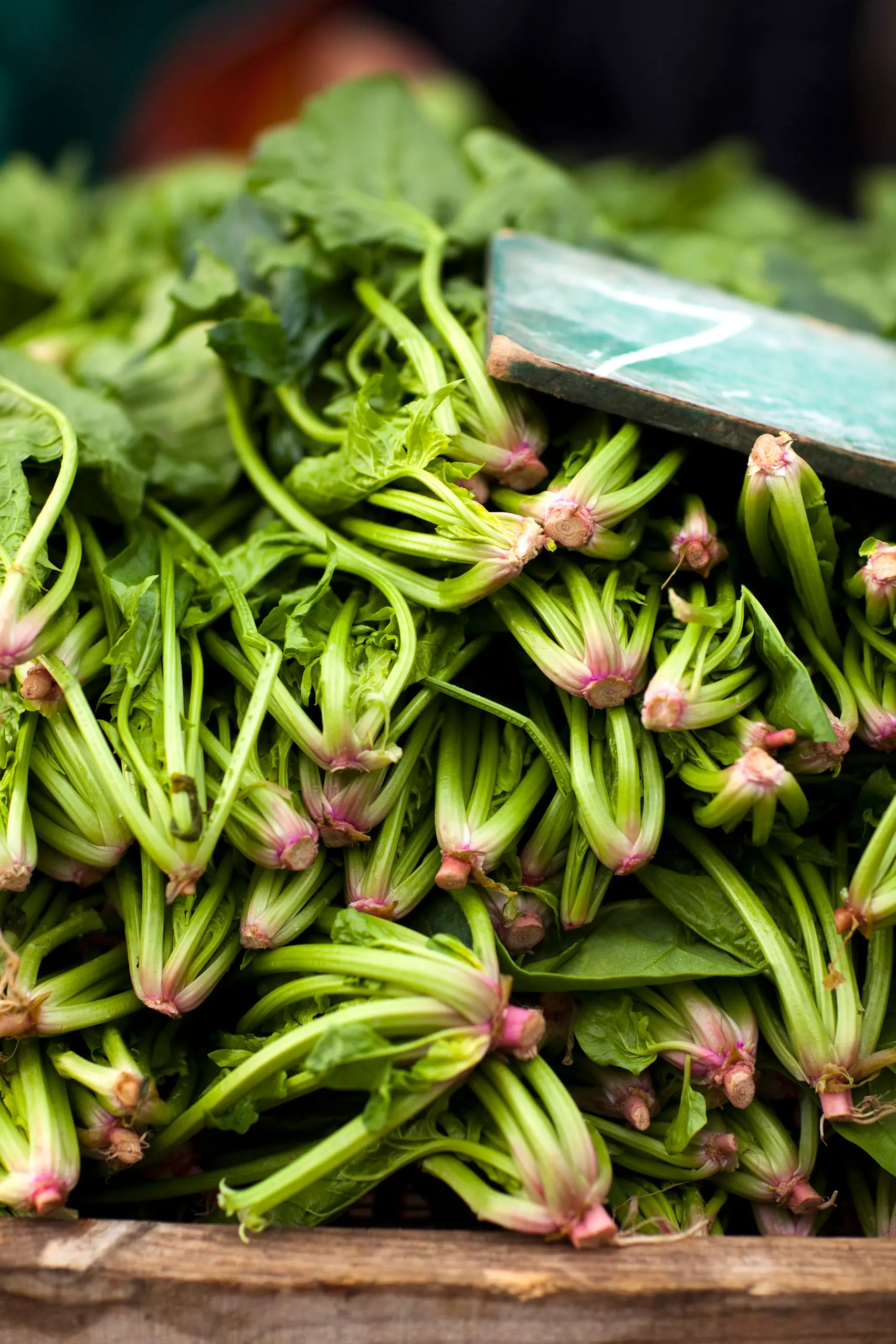 Remington_Kokkari_IMG_5129